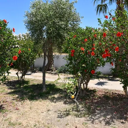 Lejlighed Kos Olympia Apartment At Lambi Beach